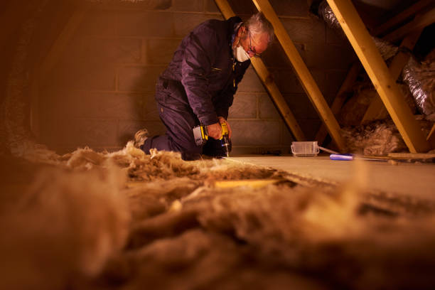 Types of Insulation We Offer in East Quincy, CA